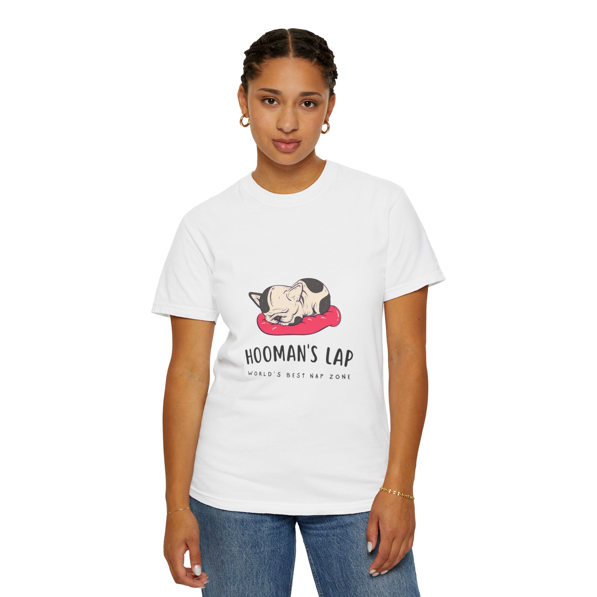 Hooman's Lap: World's Best Nap Zone - Image 4